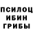 Галлюциногенные грибы мухоморы thres lee