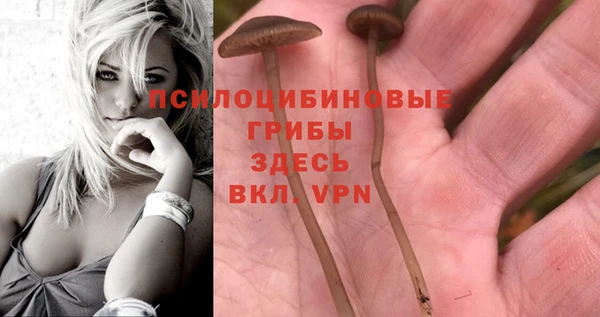 MESCALINE Армянск
