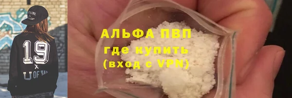 PSILOCYBIN Аркадак
