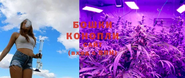 PSILOCYBIN Аркадак