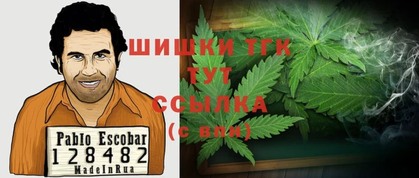 PSILOCYBIN Аркадак