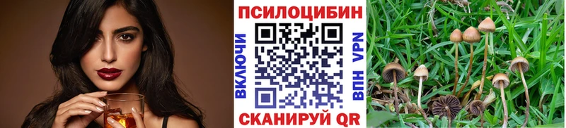 Псилоцибиновые грибы Cubensis  Подольск 