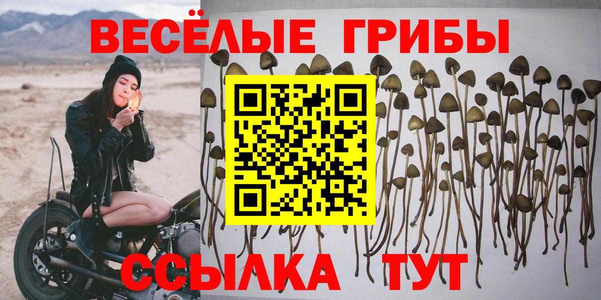 Галлюциногенные грибы мицелий  Вход с VPN  Подольск 